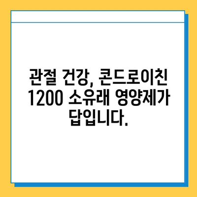 소연골 건강 지키는 솔루션! 콘드로이친 1200 소유래 영양제 리뷰 | 관절 건강, 연골, 영양제 추천