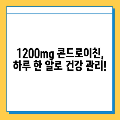 소연골 건강 지키는 솔루션! 콘드로이친 1200 소유래 영양제 리뷰 | 관절 건강, 연골, 영양제 추천