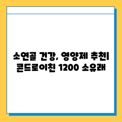 소연골 건강 지키는 솔루션! 콘드로이친 1200 소유래 영양제 리뷰 | 관절 건강, 연골, 영양제 추천