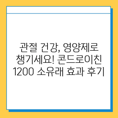 소연골 건강 지키는 솔루션! 콘드로이친 1200 소유래 영양제 리뷰 | 관절 건강, 연골, 영양제 추천