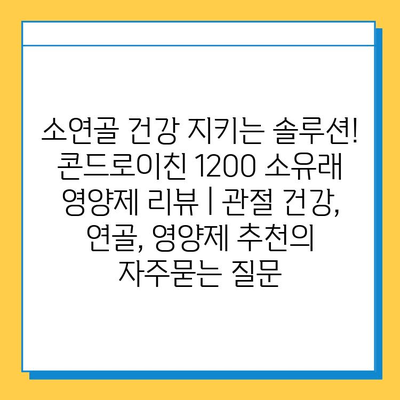 소연골 건강 지키는 솔루션! 콘드로이친 1200 소유래 영양제 리뷰 | 관절 건강, 연골, 영양제 추천