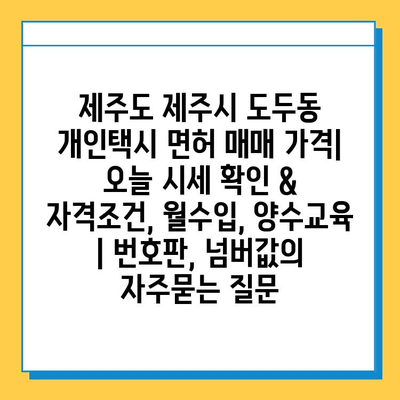 제주도 제주시 도두동 개인택시 면허 매매 가격| 오늘 시세 확인 & 자격조건, 월수입, 양수교육  | 번호판, 넘버값