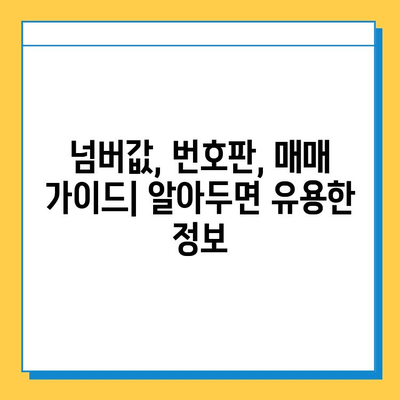 인천 미추홀구 용현1·4동 개인택시 면허 매매 가격| 오늘 시세 확인 및 자격, 월수입, 양수교육 정보 | 넘버값, 번호판, 매매 가이드