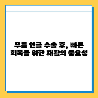 무릎 연골 수술 후, 꾸준한 관리가 당신의 삶을 바꿉니다 | 재활, 운동, 주의사항, 성공적인 회복