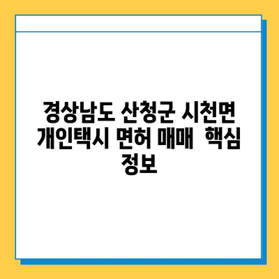 경상남도 산청군 시천면 개인택시 면허 매매 가격| 오늘 시세 확인 및 핵심 정보 | 번호판, 넘버값, 자격조건, 월수입, 양수교육