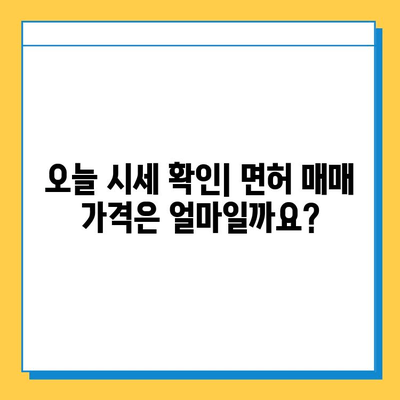 경상남도 산청군 시천면 개인택시 면허 매매 가격| 오늘 시세 확인 및 핵심 정보 | 번호판, 넘버값, 자격조건, 월수입, 양수교육