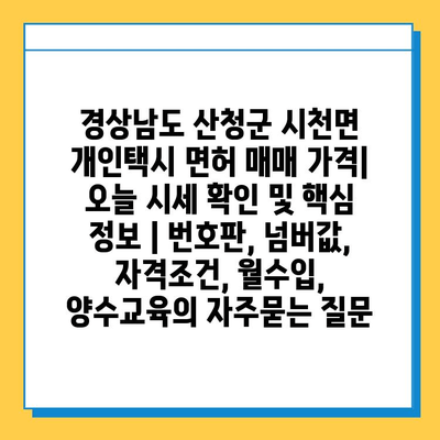 경상남도 산청군 시천면 개인택시 면허 매매 가격| 오늘 시세 확인 및 핵심 정보 | 번호판, 넘버값, 자격조건, 월수입, 양수교육