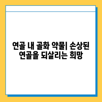 연골 내 골화 약물 치료| 고려해야 할 사항과 기대 효과 | 연골 재생, 골절 치료, 약물 부작용