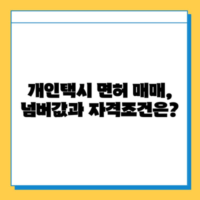 인천 강화군 양사면 개인택시 면허 매매 가격| 오늘 시세, 넘버값, 자격조건, 월수입, 양수교육 | 상세 정보