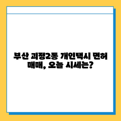 부산 사하구 괴정2동 개인택시 면허 매매| 오늘 시세 확인 & 자격조건, 월수입, 양수교육 정보 | 번호판, 넘버값, 가격