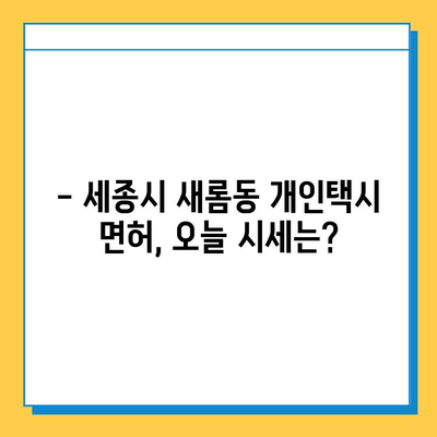 세종시 새롬동 개인택시 면허 매매 가격 (번호판, 넘버값) | 오늘 시세, 자격조건, 월수입, 양수교육