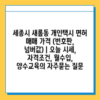 세종시 새롬동 개인택시 면허 매매 가격 (번호판, 넘버값) | 오늘 시세, 자격조건, 월수입, 양수교육