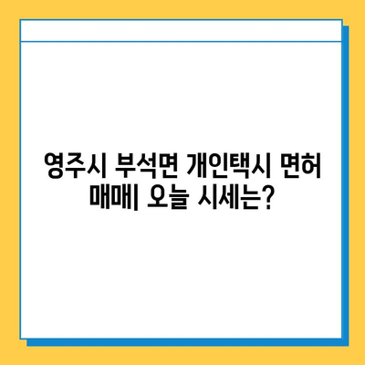 경상북도 영주시 부석면 개인택시 면허 매매| 오늘 시세, 넘버값, 자격조건, 월수입, 양수교육 | 상세 정보