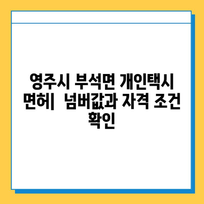 경상북도 영주시 부석면 개인택시 면허 매매| 오늘 시세, 넘버값, 자격조건, 월수입, 양수교육 | 상세 정보