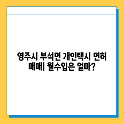 경상북도 영주시 부석면 개인택시 면허 매매| 오늘 시세, 넘버값, 자격조건, 월수입, 양수교육 | 상세 정보