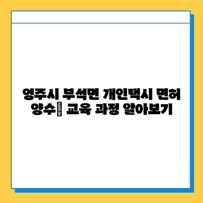 경상북도 영주시 부석면 개인택시 면허 매매| 오늘 시세, 넘버값, 자격조건, 월수입, 양수교육 | 상세 정보