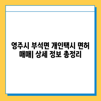 경상북도 영주시 부석면 개인택시 면허 매매| 오늘 시세, 넘버값, 자격조건, 월수입, 양수교육 | 상세 정보