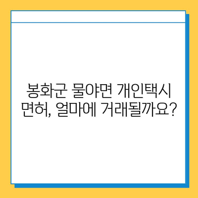 경상북도 봉화군 물야면 개인택시 면허 매매 가격| 오늘 시세, 넘버값, 자격조건, 월수입, 양수교육 | 상세 정보