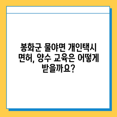 경상북도 봉화군 물야면 개인택시 면허 매매 가격| 오늘 시세, 넘버값, 자격조건, 월수입, 양수교육 | 상세 정보