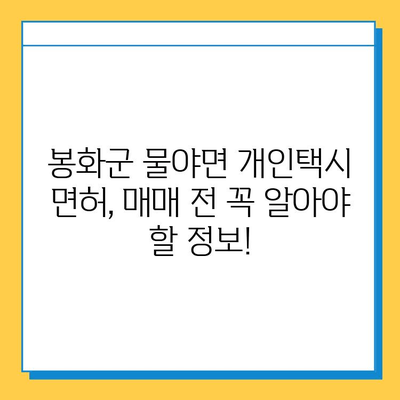 경상북도 봉화군 물야면 개인택시 면허 매매 가격| 오늘 시세, 넘버값, 자격조건, 월수입, 양수교육 | 상세 정보