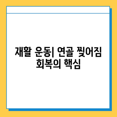 연골 찢어짐 회복| 나의 경험과 5가지 성공 전략 | 재활 운동, 식단, 치료, 수술, 성공 사례