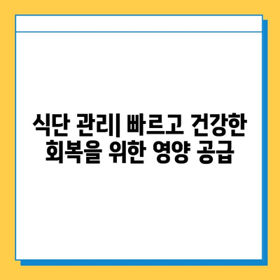 연골 찢어짐 회복| 나의 경험과 5가지 성공 전략 | 재활 운동, 식단, 치료, 수술, 성공 사례