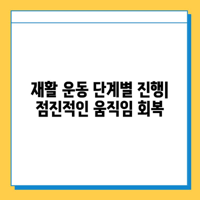 반월상연골 파열 봉합 수술 후, 빠른 회복을 위한 필수 재활 단계 | 재활 운동, 주의 사항, 전문가 조언