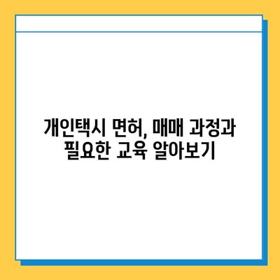 대전 중구 태평1동 개인택시 면허 매매| 오늘 시세, 넘버값, 자격, 월수입, 양수교육 | 상세 가이드