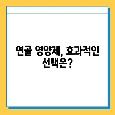 관절 건강 지키는 선택! 나에게 맞는 연골 영양제 고르는 기준과 변화 | 연골 영양제, 관절 건강, 선택 가이드, 효과적인 영양제