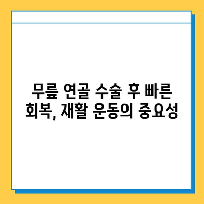 무릎 연골 수술 후, 빠르고 안전한 회복을 위한 맞춤형 재활 가이드 | 무릎 연골 수술, 재활 운동, 회복 과정, 전문가 조언