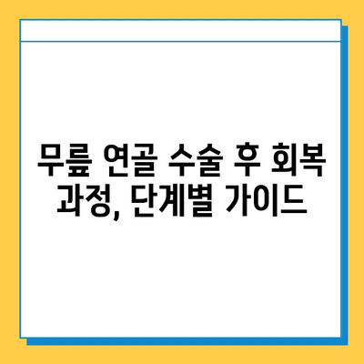 무릎 연골 수술 후, 빠르고 안전한 회복을 위한 맞춤형 재활 가이드 | 무릎 연골 수술, 재활 운동, 회복 과정, 전문가 조언