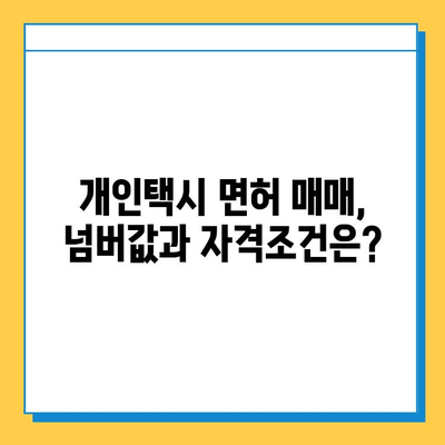 순천시 장천동 개인택시 면허 매매 가격| 오늘 시세 확인 | 번호판, 넘버값, 자격조건, 월수입, 양수교육