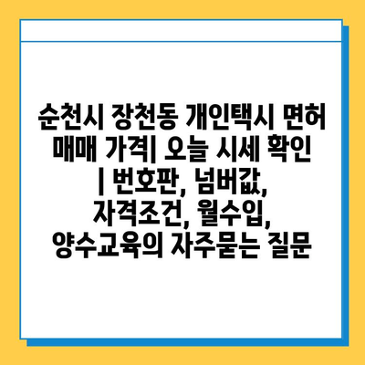 순천시 장천동 개인택시 면허 매매 가격| 오늘 시세 확인 | 번호판, 넘버값, 자격조건, 월수입, 양수교육