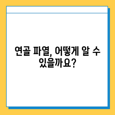 연골 파열, 가볍게 생각하지 마세요| 증상, 치료, 재활까지 완벽 가이드 | 연골 파열, 무릎 통증, 관절 건강, 스포츠 부상