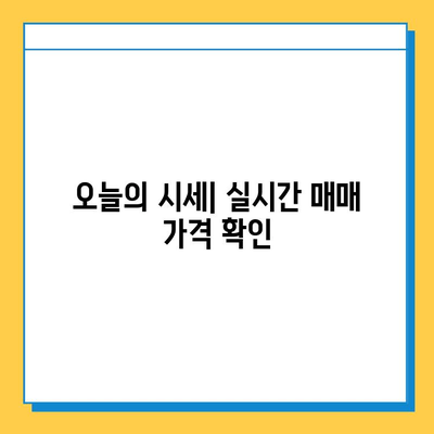 대구 서구 비산1동 개인택시 면허 매매 가격| 오늘 시세 확인 & 자격조건 | 월수입 | 양수교육