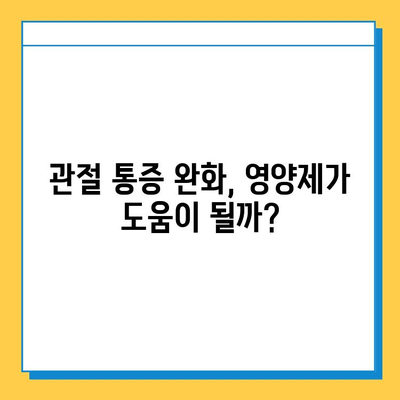 관절 건강 지키는 현명한 선택! 나에게 맞는 관절 영양제 고르는 가이드 | 관절 영양제 추천, 관절 건강 관리, 관절 통증 완화