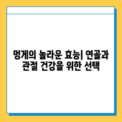 멍게의 놀라운 효능| 연골 건강을 위한 숨겨진 비밀 | 멍게, 연골, 관절 건강, 영양