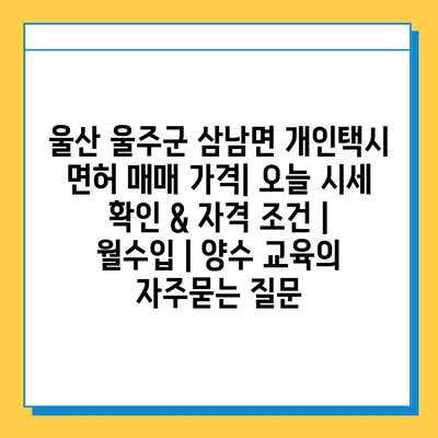 울산 울주군 삼남면 개인택시 면허 매매 가격| 오늘 시세 확인 & 자격 조건 | 월수입 | 양수 교육