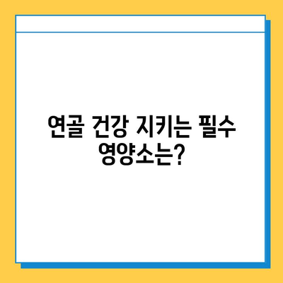 관절 통증 완화, 연골 건강 지키는 영양제| 효과적인 성분 비교 가이드 | 관절 건강, 영양제 추천, 연골 재생