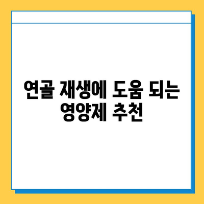 관절 통증 완화, 연골 건강 지키는 영양제| 효과적인 성분 비교 가이드 | 관절 건강, 영양제 추천, 연골 재생