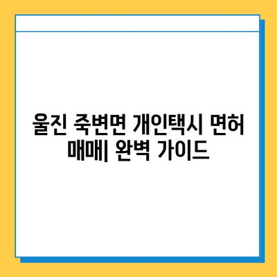 울진 죽변면 개인택시 면허 매매 가격 & 자격조건 완벽 가이드 | 오늘 시세, 넘버값, 월수입, 양수교육