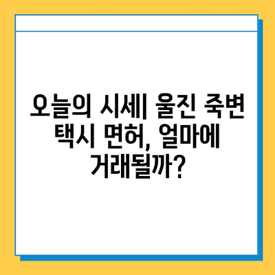 울진 죽변면 개인택시 면허 매매 가격 & 자격조건 완벽 가이드 | 오늘 시세, 넘버값, 월수입, 양수교육