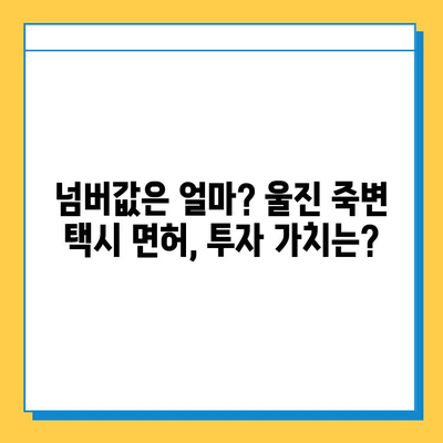 울진 죽변면 개인택시 면허 매매 가격 & 자격조건 완벽 가이드 | 오늘 시세, 넘버값, 월수입, 양수교육