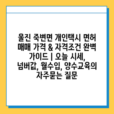 울진 죽변면 개인택시 면허 매매 가격 & 자격조건 완벽 가이드 | 오늘 시세, 넘버값, 월수입, 양수교육