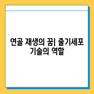 연골 내 골화 연구의 최신 동향| 핵심 발견과 미래 전망 | 연골, 골화, 재생 의학, 줄기세포