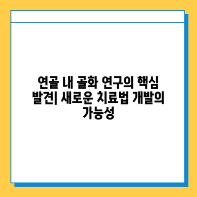 연골 내 골화 연구의 최신 동향| 핵심 발견과 미래 전망 | 연골, 골화, 재생 의학, 줄기세포