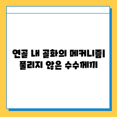 연골 내 골화 연구의 최신 동향| 핵심 발견과 미래 전망 | 연골, 골화, 재생 의학, 줄기세포