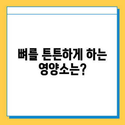 연골 내 골화 예방, 4가지 실천 방법으로 건강한 관절 지키세요 | 연골, 골화, 관절 건강, 운동, 영양