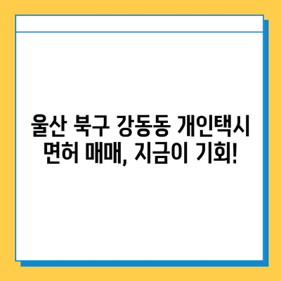 울산 북구 강동동 개인택시 면허 매매 가격 & 자격조건 완벽 가이드 | 오늘 시세, 넘버값, 월수입, 양수교육