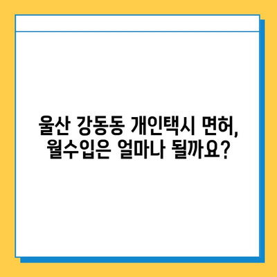 울산 북구 강동동 개인택시 면허 매매 가격 & 자격조건 완벽 가이드 | 오늘 시세, 넘버값, 월수입, 양수교육